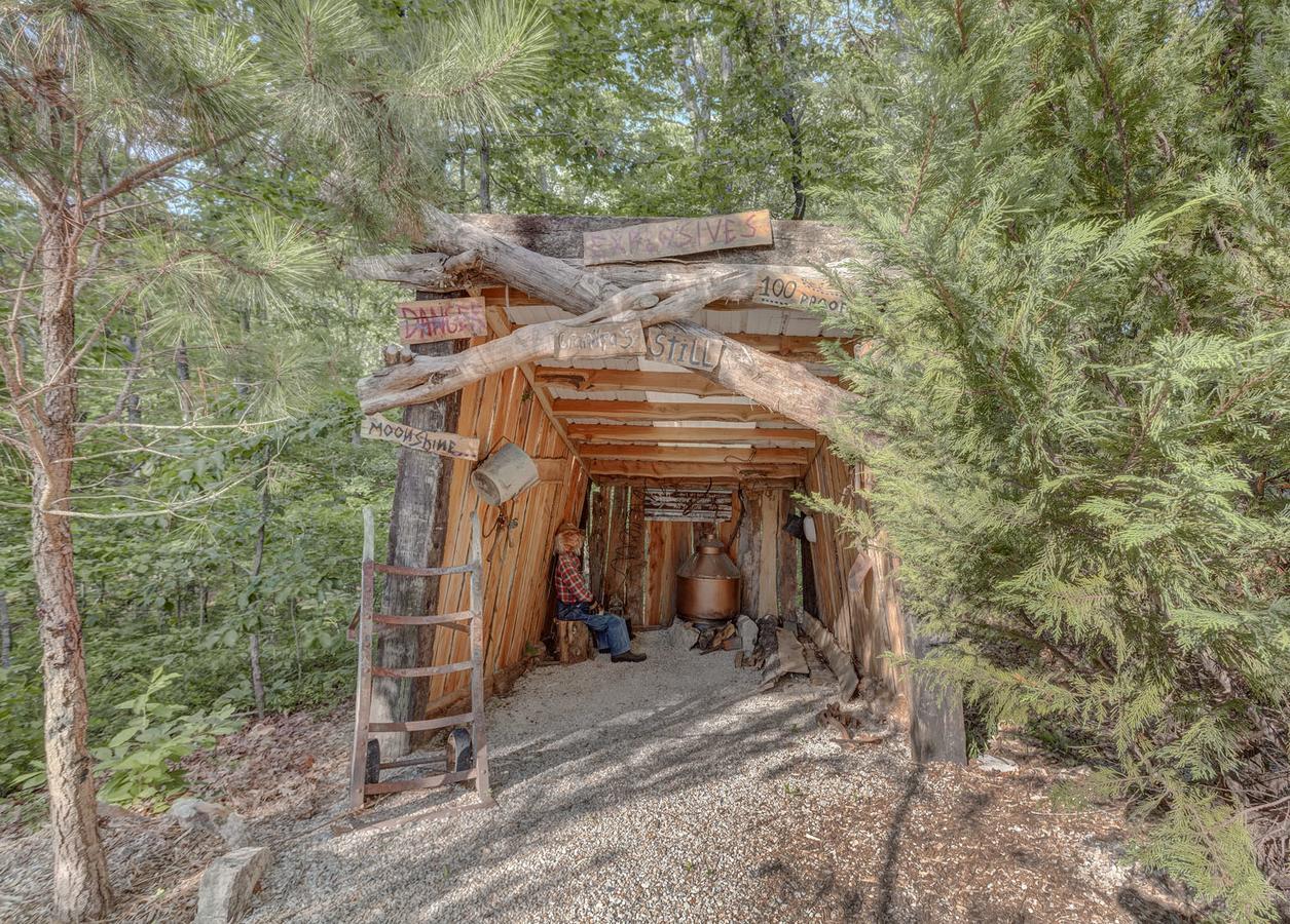 Fox Pass Cabins Bed & Breakfast Hot Springs Exterior photo